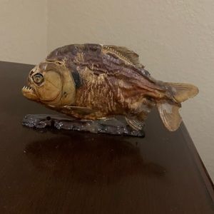This is a Amazon dried small piranha.